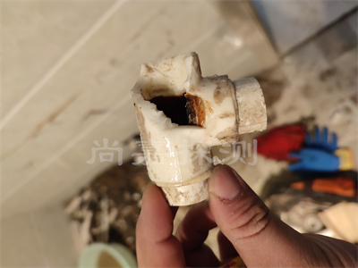 九合垸原种场自来水管道漏水检测