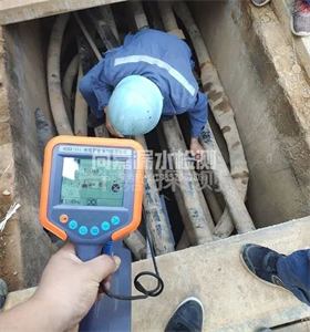九合垸原种场管线探测