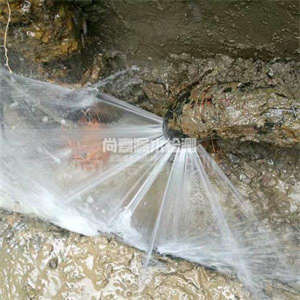 九合垸原种场消防管道漏水检测